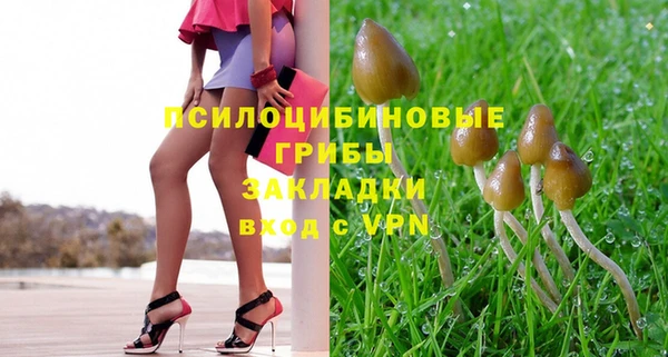 винт Краснослободск