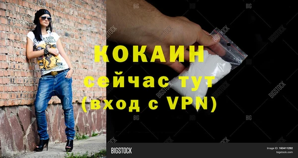 винт Краснослободск