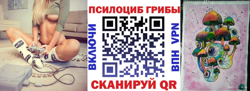 Купить закладки  Чадан  Галлюциногенные грибы Psilocybine cubensis 